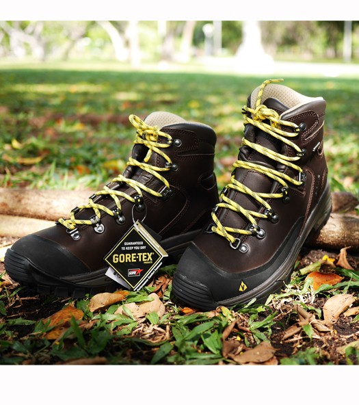Vasque eriksson gtx hiking sales boots