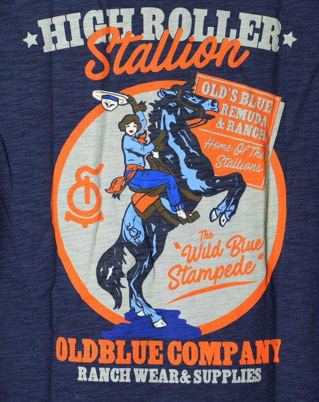 tee-the-stallion